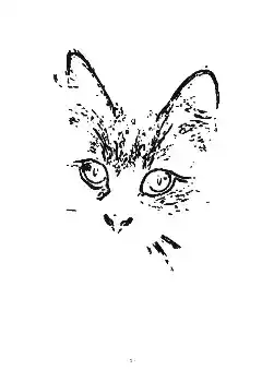 Interior page of the same book, a cat photo turned into a numbered coloring page