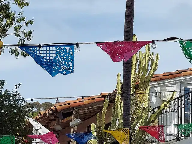 Blue, pink, green and yellow cut-paper papel picado flags strung on lines between a palm tree and tiled roofs under a blue sky